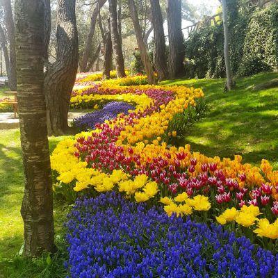 istanbul_piknik istanbul_piknik_yildiz_parki