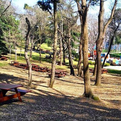 istanbul_piknik_emirgan_korusu