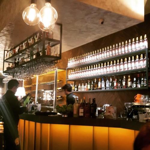 the-hunger-bulvar-216-gezenti-anne