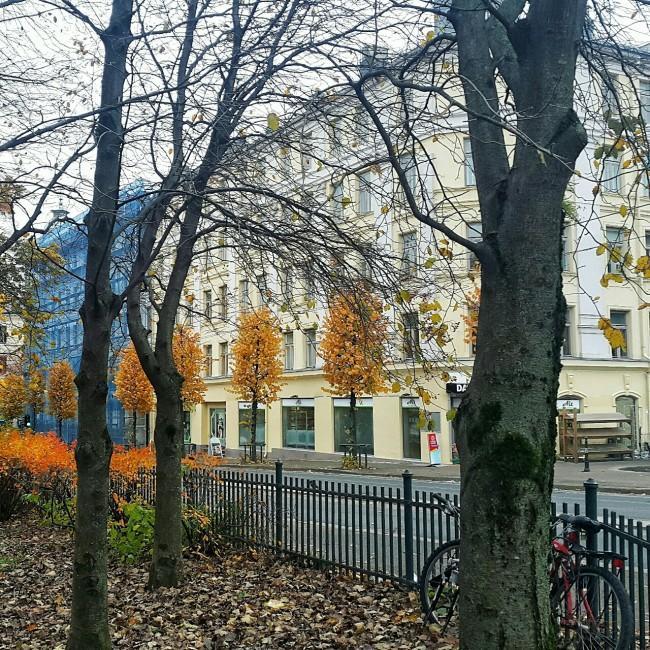 Oslo-gezilecek-yerler-gezenti-anne-16