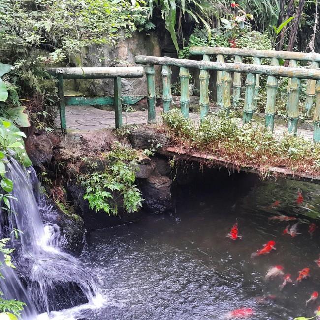 Kuala-lumpur-gezenti-anne-10