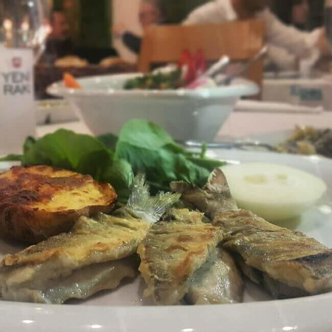 çocuk-parklı-balıkçı-gezenti-anne-01