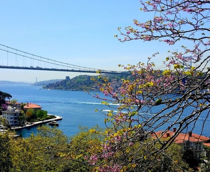 istanbul daki en guzel parklar ve korular gezenti anne