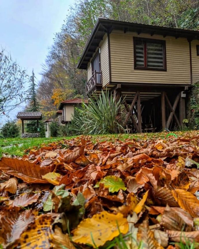 Şelale Yanında Lüks Bungalov Ağaç Evler, Natürköy Sapanca Gezenti Anne