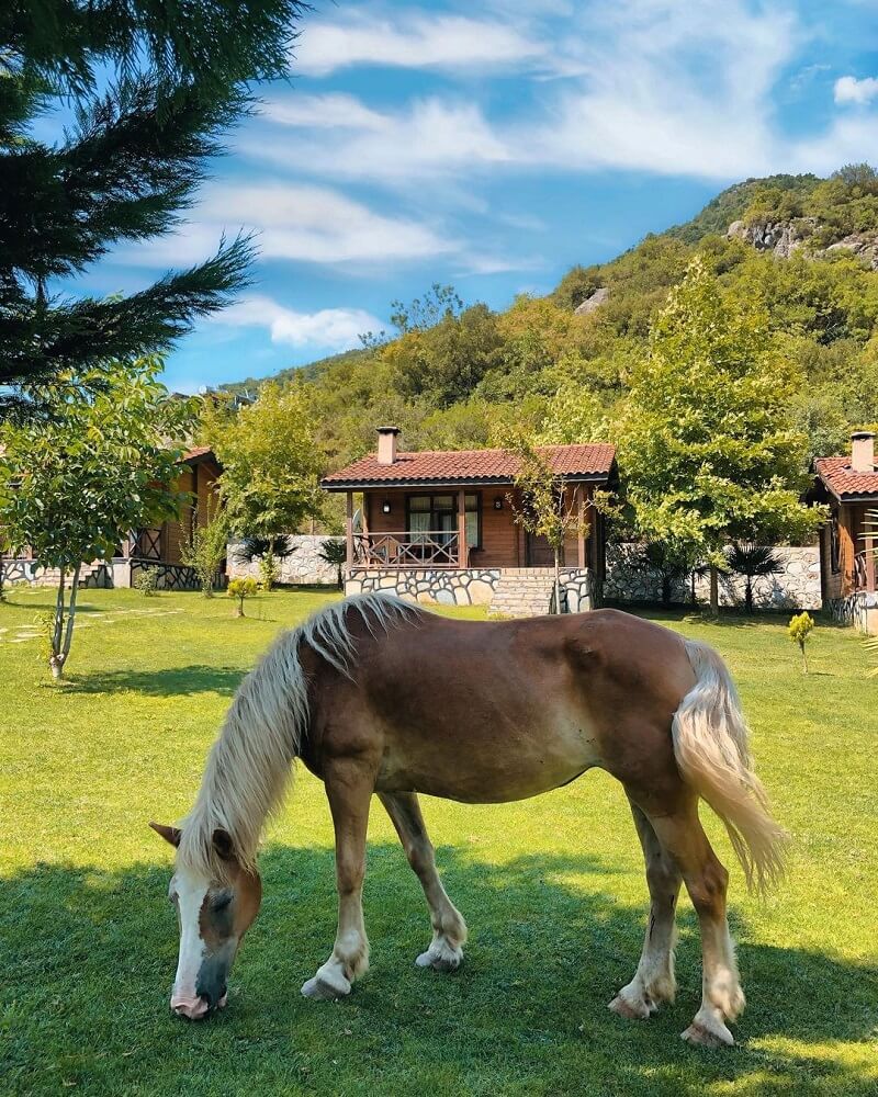 Yalova’da Havuzlu ve Şömineli Bungalov Evler, Bağdat Resort Gezenti Anne